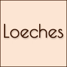 Loeches