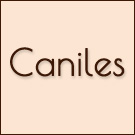 Caniles