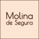 Molina de Segura